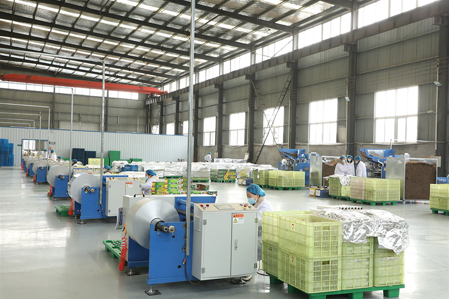 Aluminum-Foil-Roll-Manufacturer